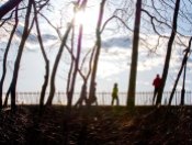 Joggers around the Reservoir