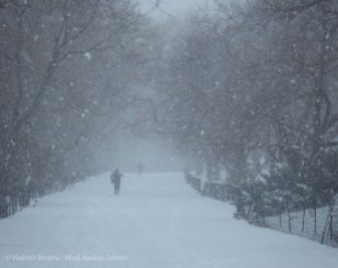 The bridle path under snow