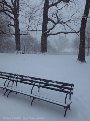 Park benches under snow