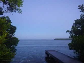 Dawn at our campsite on Little Rabbit Key