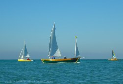 Out in the Gulf with the sailboats