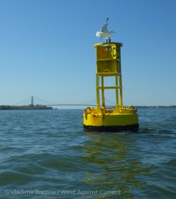 Yellow buoy on the Bay Ridge Flats