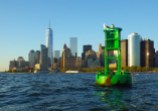 Green buoy, once again