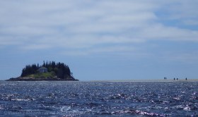 33. Wood Island, at the mouth of the Kennebec