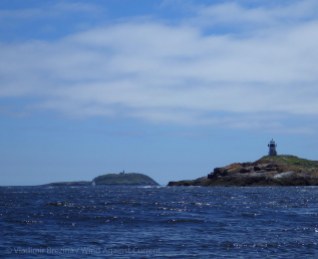34. Pond Island, with Seguin Island beyond