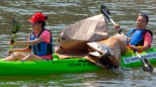 Cardboard-kayak-race-92