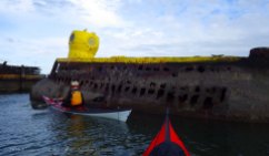Yellow Submarine Paddle 17