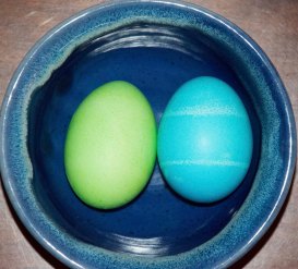 Easter egg science project 2